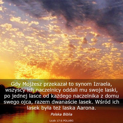 Picture 03 - Liczb 17:6 POLUBG - Gdy Mojżesz przekazał to synom Izraela, wszyscy - Bible Verse Picture