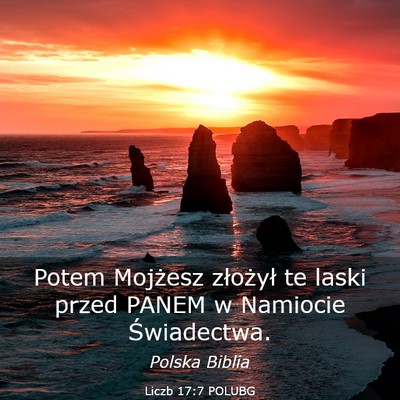 Picture 03 - Liczb 17:7 POLUBG - Potem Mojżesz złożył te laski przed PANEM w - Bible Verse Picture
