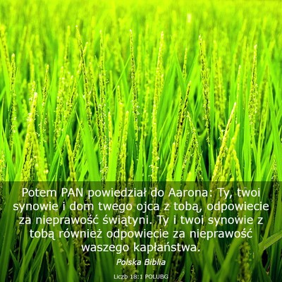 Picture 03 - Liczb 18:1 POLUBG - Potem PAN powiedział do Aarona: Ty, twoi synowie - Bible Verse Picture