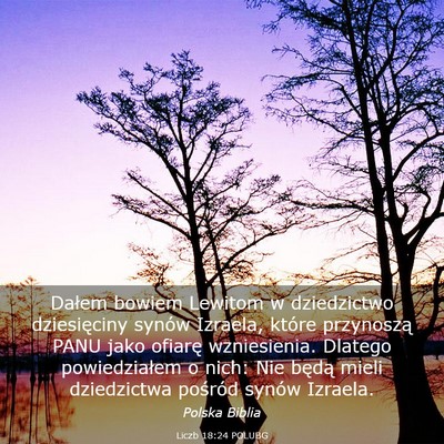 Picture 03 - Liczb 18:24 POLUBG - Dałem bowiem Lewitom w dziedzictwo dziesięciny - Bible Verse Picture