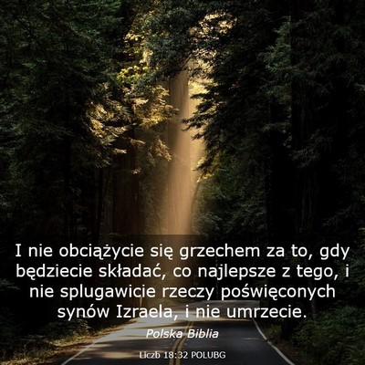 Picture 03 - Liczb 18:32 POLUBG - I nie obciążycie się grzechem za to, gdy - Bible Verse Picture
