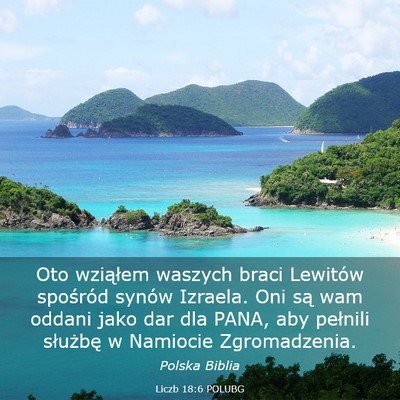 Picture 03 - Liczb 18:6 POLUBG - Oto wziąłem waszych braci Lewitów spośród - Bible Verse Picture