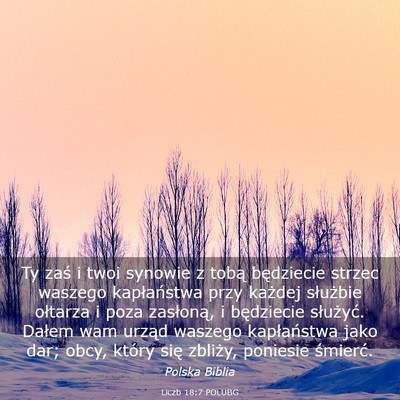 Picture 03 - Liczb 18:7 POLUBG - Ty zaś i twoi synowie z tobą będziecie strzec - Bible Verse Picture