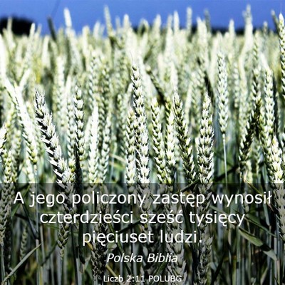 Picture 03 - Liczb 2:11 POLUBG - A jego policzony zastęp wynosił czterdzieści - Bible Verse Picture