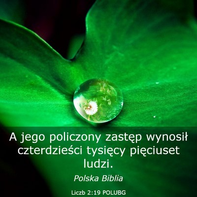 Picture 03 - Liczb 2:19 POLUBG - A jego policzony zastęp wynosił czterdzieści - Bible Verse Picture