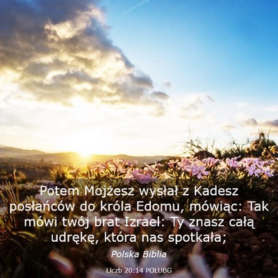 Picture 03 - Liczb 20:14 POLUBG - Potem Mojżesz wysłał z Kadesz posłańców do - Bible Verse Picture