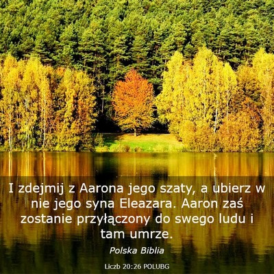 Picture 03 - Liczb 20:26 POLUBG - I zdejmij z Aarona jego szaty, a ubierz w nie - Bible Verse Picture