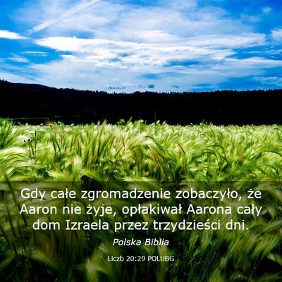 Picture 03 - Liczb 20:29 POLUBG - Gdy całe zgromadzenie zobaczyło, że Aaron nie - Bible Verse Picture