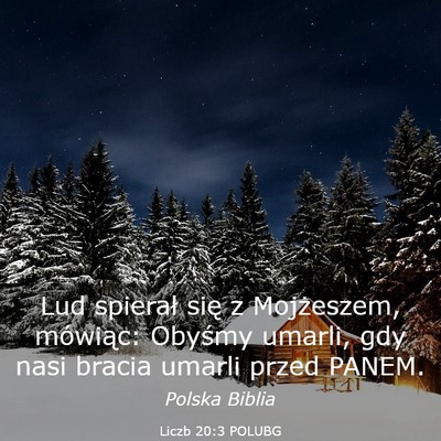 Picture 03 - Liczb 20:3 POLUBG - Lud spierał się z Mojżeszem, mówiąc: Obyśmy - Bible Verse Picture