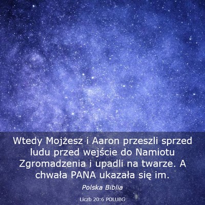 Picture 03 - Liczb 20:6 POLUBG - Wtedy Mojżesz i Aaron przeszli sprzed ludu przed - Bible Verse Picture