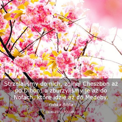 Picture 03 - Liczb 21:30 POLUBG - Strzelaliśmy do nich, zginął Cheszbon aż po - Bible Verse Picture