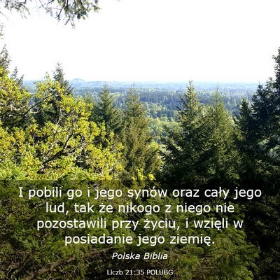 Picture 03 - Liczb 21:35 POLUBG - I pobili go i jego synów oraz cały jego lud, - Bible Verse Picture