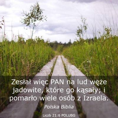 Picture 03 - Liczb 21:6 POLUBG - Zesłał więc PAN na lud węże jadowite, które - Bible Verse Picture