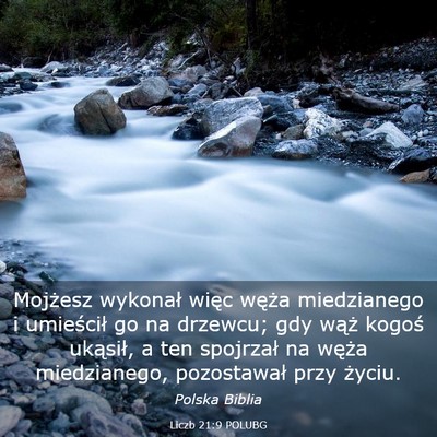 Picture 03 - Liczb 21:9 POLUBG - Mojżesz wykonał więc węża miedzianego i - Bible Verse Picture