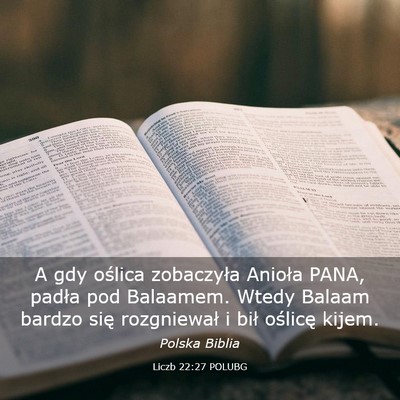 Picture 03 - Liczb 22:27 POLUBG - A gdy oślica zobaczyła Anioła PANA, padła pod - Bible Verse Picture