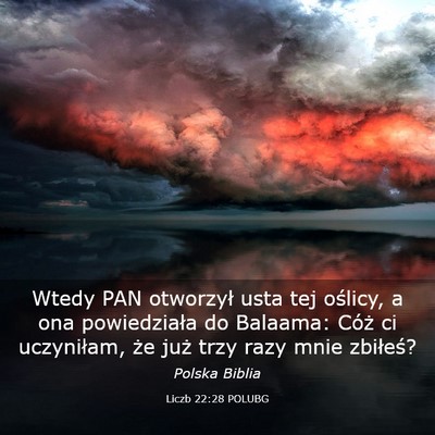 Picture 03 - Liczb 22:28 POLUBG - Wtedy PAN otworzył usta tej oślicy, a ona - Bible Verse Picture