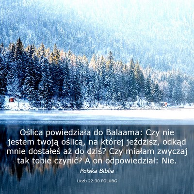 Picture 03 - Liczb 22:30 POLUBG - Oślica powiedziała do Balaama: Czy nie jestem - Bible Verse Picture