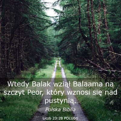 Picture 03 - Liczb 23:28 POLUBG - Wtedy Balak wziął Balaama na szczyt Peor, - Bible Verse Picture