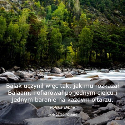 Picture 03 - Liczb 23:30 POLUBG - Balak uczynił więc tak, jak mu rozkazał - Bible Verse Picture
