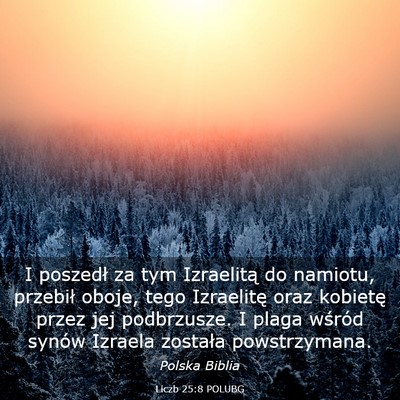 Picture 03 - Liczb 25:8 POLUBG - I poszedł za tym Izraelitą do namiotu, przebił - Bible Verse Picture