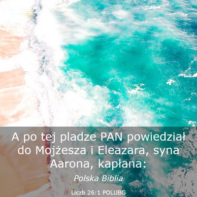 Picture 03 - Liczb 26:1 POLUBG - A po tej pladze PAN powiedział do Mojżesza i - Bible Verse Picture