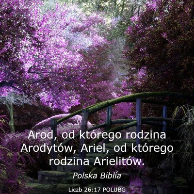 Picture 03 - Liczb 26:17 POLUBG - Arod, od którego rodzina Arodytów, Ariel, od - Bible Verse Picture