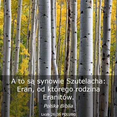 Picture 03 - Liczb 26:36 POLUBG - A to są synowie Szutelacha: Eran, od którego - Bible Verse Picture