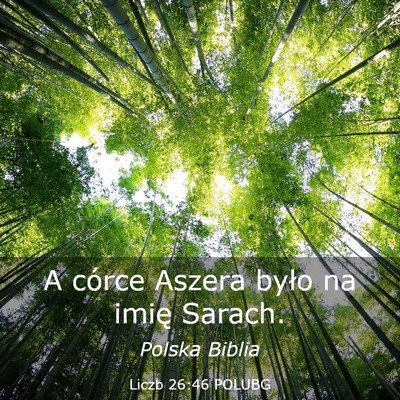 Picture 03 - Liczb 26:46 POLUBG - A córce Aszera było na imię - Bible Verse Picture