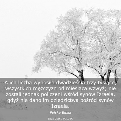 Picture 03 - Liczb 26:62 POLUBG - A ich liczba wynosiła dwadzieścia trzy - Bible Verse Picture