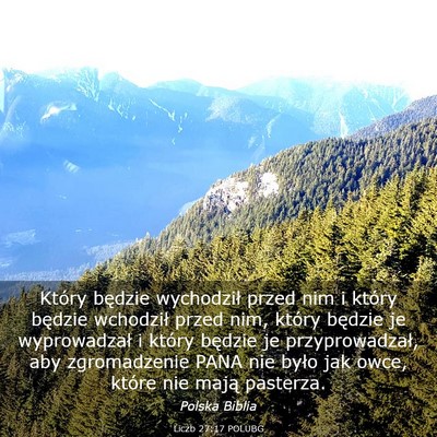Picture 03 - Liczb 27:17 POLUBG - Który będzie wychodził przed nim i który - Bible Verse Picture