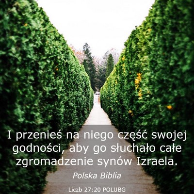 Picture 03 - Liczb 27:20 POLUBG - I przenieś na niego część swojej godności, - Bible Verse Picture