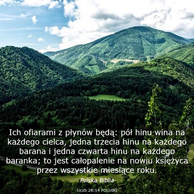 Picture 03 - Liczb 28:14 POLUBG - Ich ofiarami z płynów będą: pół hinu wina - Bible Verse Picture