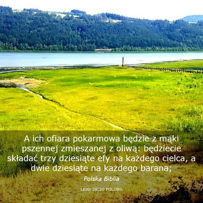 Picture 03 - Liczb 28:20 POLUBG - A ich ofiara pokarmowa będzie z mąki pszennej - Bible Verse Picture