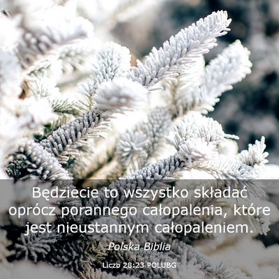 Picture 03 - Liczb 28:23 POLUBG - Będziecie to wszystko składać oprócz - Bible Verse Picture