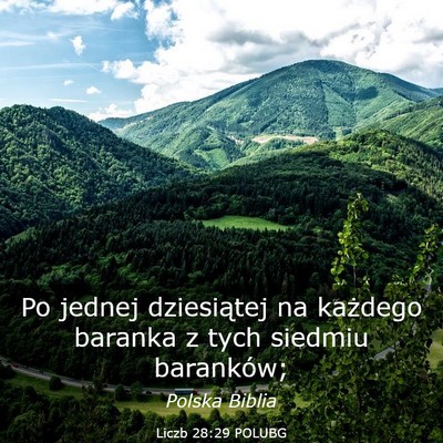 Picture 03 - Liczb 28:29 POLUBG - Po jednej dziesiątej na każdego baranka z tych - Bible Verse Picture