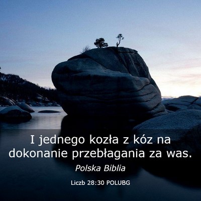 Picture 03 - Liczb 28:30 POLUBG - I jednego kozła z kóz na dokonanie - Bible Verse Picture