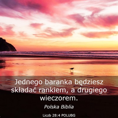 Picture 03 - Liczb 28:4 POLUBG - Jednego baranka będziesz składać rankiem, a - Bible Verse Picture