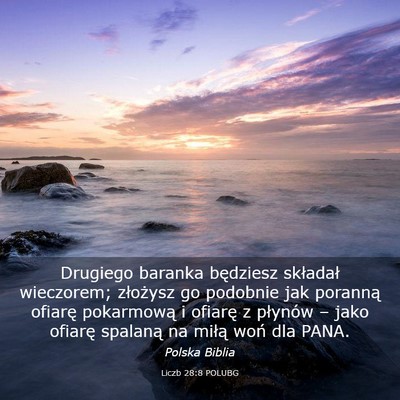 Picture 03 - Liczb 28:8 POLUBG - Drugiego baranka będziesz składał wieczorem; - Bible Verse Picture