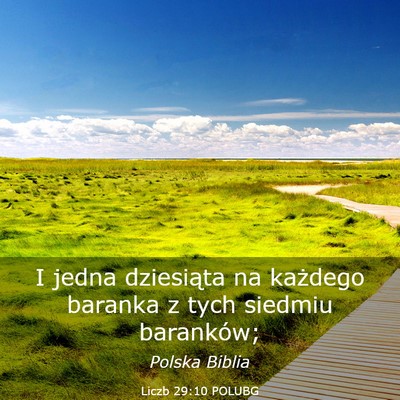 Picture 03 - Liczb 29:10 POLUBG - I jedna dziesiąta na każdego baranka z tych - Bible Verse Picture