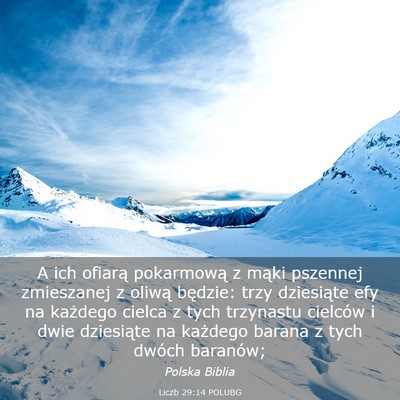 Picture 03 - Liczb 29:14 POLUBG - A ich ofiarą pokarmową z mąki pszennej - Bible Verse Picture