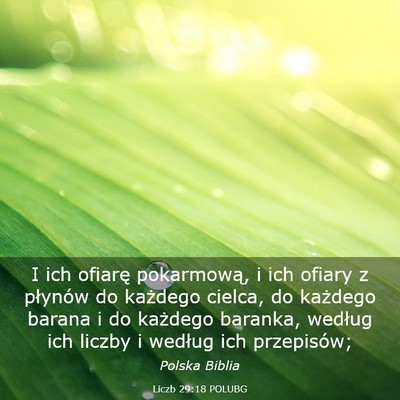 Picture 03 - Liczb 29:18 POLUBG - I ich ofiarę pokarmową, i ich ofiary z płynów - Bible Verse Picture