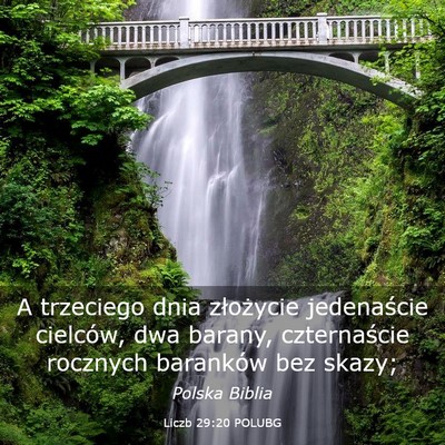 Picture 03 - Liczb 29:20 POLUBG - A trzeciego dnia złożycie jedenaście cielców, - Bible Verse Picture