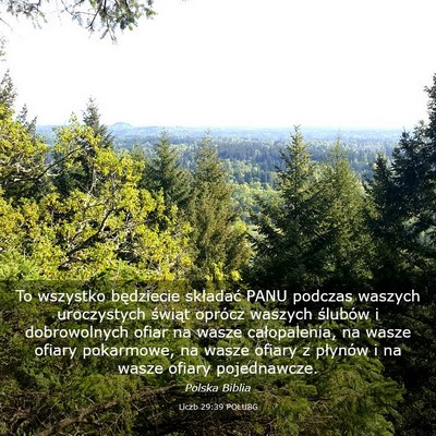 Picture 03 - Liczb 29:39 POLUBG - To wszystko będziecie składać PANU podczas - Bible Verse Picture