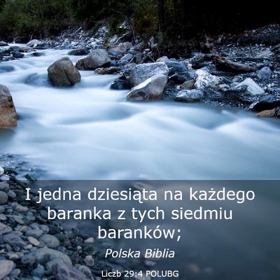 Picture 03 - Liczb 29:4 POLUBG - I jedna dziesiąta na każdego baranka z tych - Bible Verse Picture