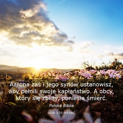 Picture 03 - Liczb 3:10 POLUBG - Aarona zaś i jego synów ustanowisz, aby - Bible Verse Picture