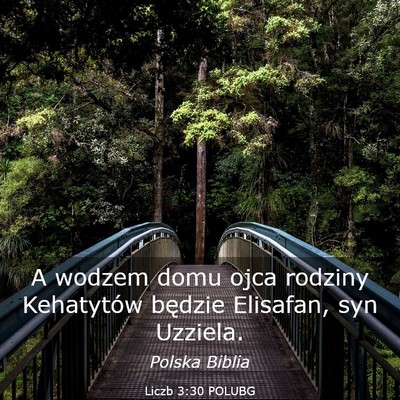 Picture 03 - Liczb 3:30 POLUBG - A wodzem domu ojca rodziny Kehatytów będzie - Bible Verse Picture