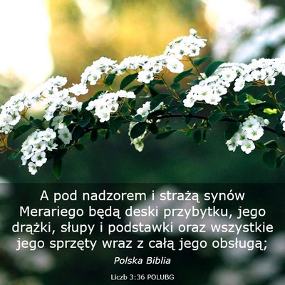 Picture 03 - Liczb 3:36 POLUBG - A pod nadzorem i strażą synów Merariego będą - Bible Verse Picture