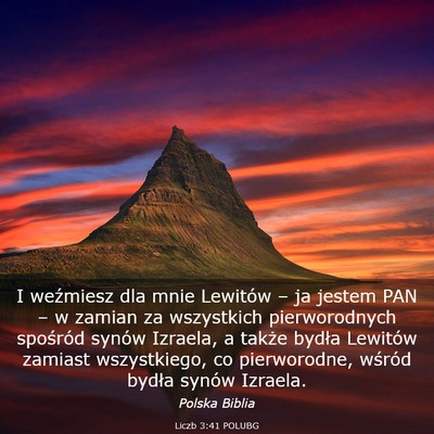 Picture 03 - Liczb 3:41 POLUBG - I weźmiesz dla mnie Lewitów – ja jestem PAN - Bible Verse Picture