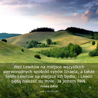 Picture 03 - Liczb 3:45 POLUBG - Weź Lewitów na miejsce wszystkich pierworodnych - Bible Verse Picture