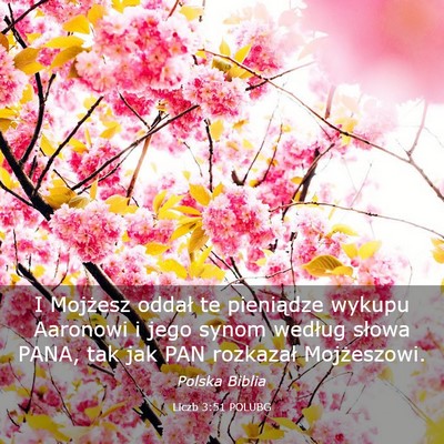 Picture 03 - Liczb 3:51 POLUBG - I Mojżesz oddał te pieniądze wykupu Aaronowi i - Bible Verse Picture